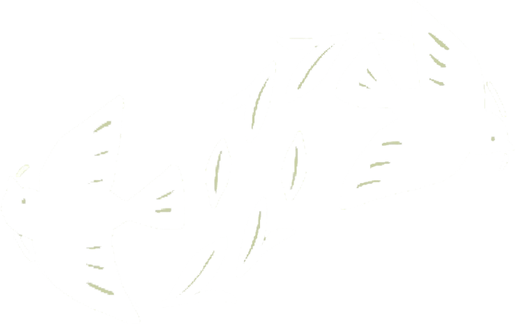 キミイロドリのロゴ