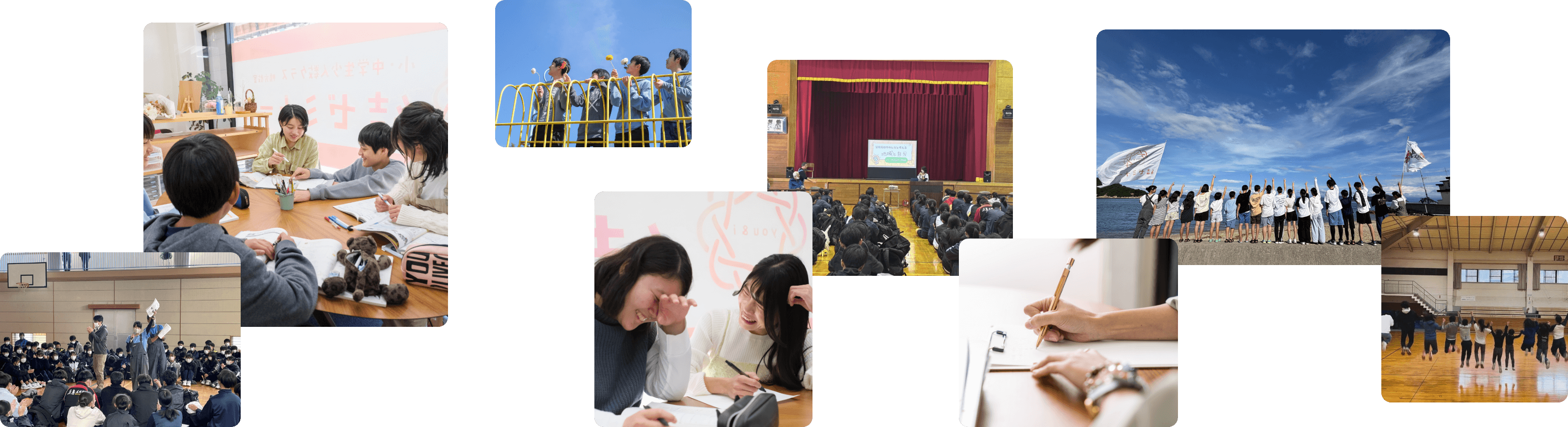 キミイロドリの活動の様子